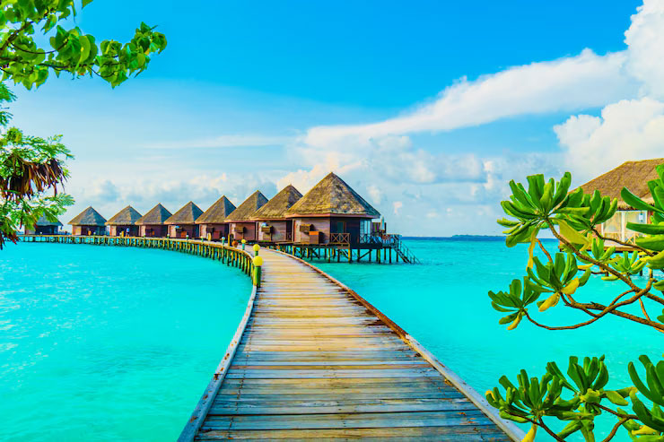 Blog-img