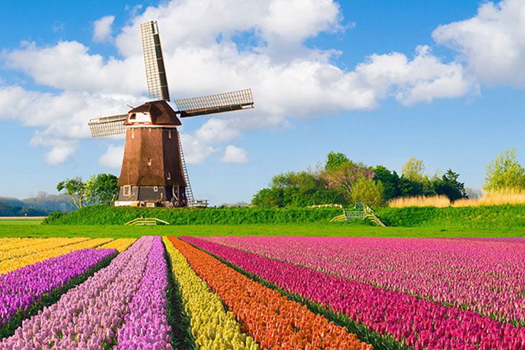Blog-img